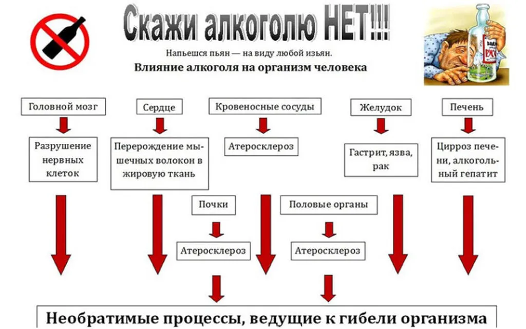 8ef1b78ef551488a260b0753c523292c