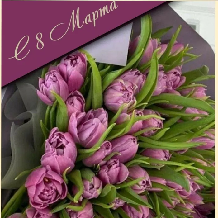 изображение_viber_2023-03-08_08-13-42-820